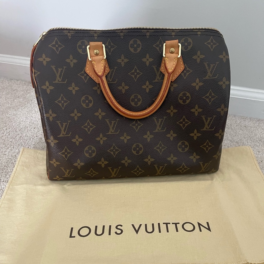 Louis Vuitton Speedy 30 monogram